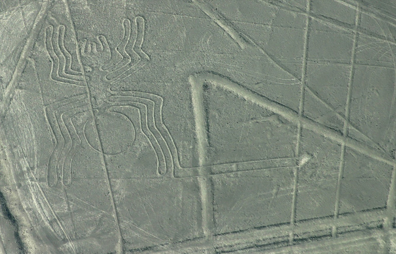 Araignée au sol, Pérou antique