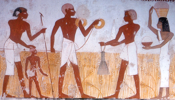Agriculture période pré-dynastique