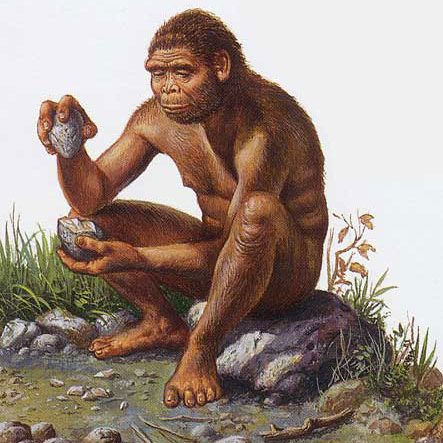 Homo habilis préhistoire