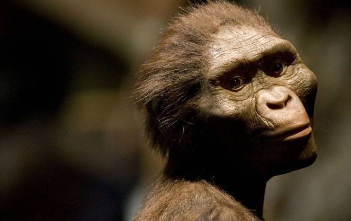 Australopitheque pendant la préhistoire