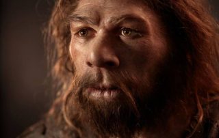 Visage homme de Néandertal