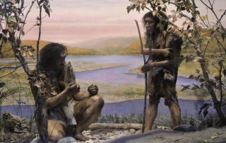 homo-erectus-prehistoire