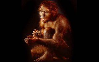 homo-habilis-prehistoire